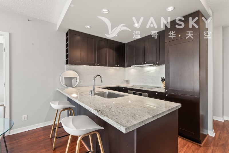 250408174131_1904 821 Cambie Street Vancouver 10.jpg